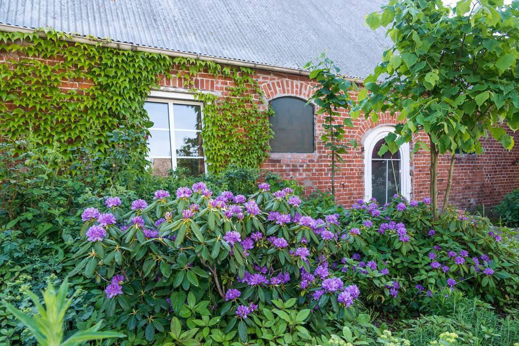 Ferienhof Kolauerhof - Bauernhofurlaub In Grömitz Esterno foto